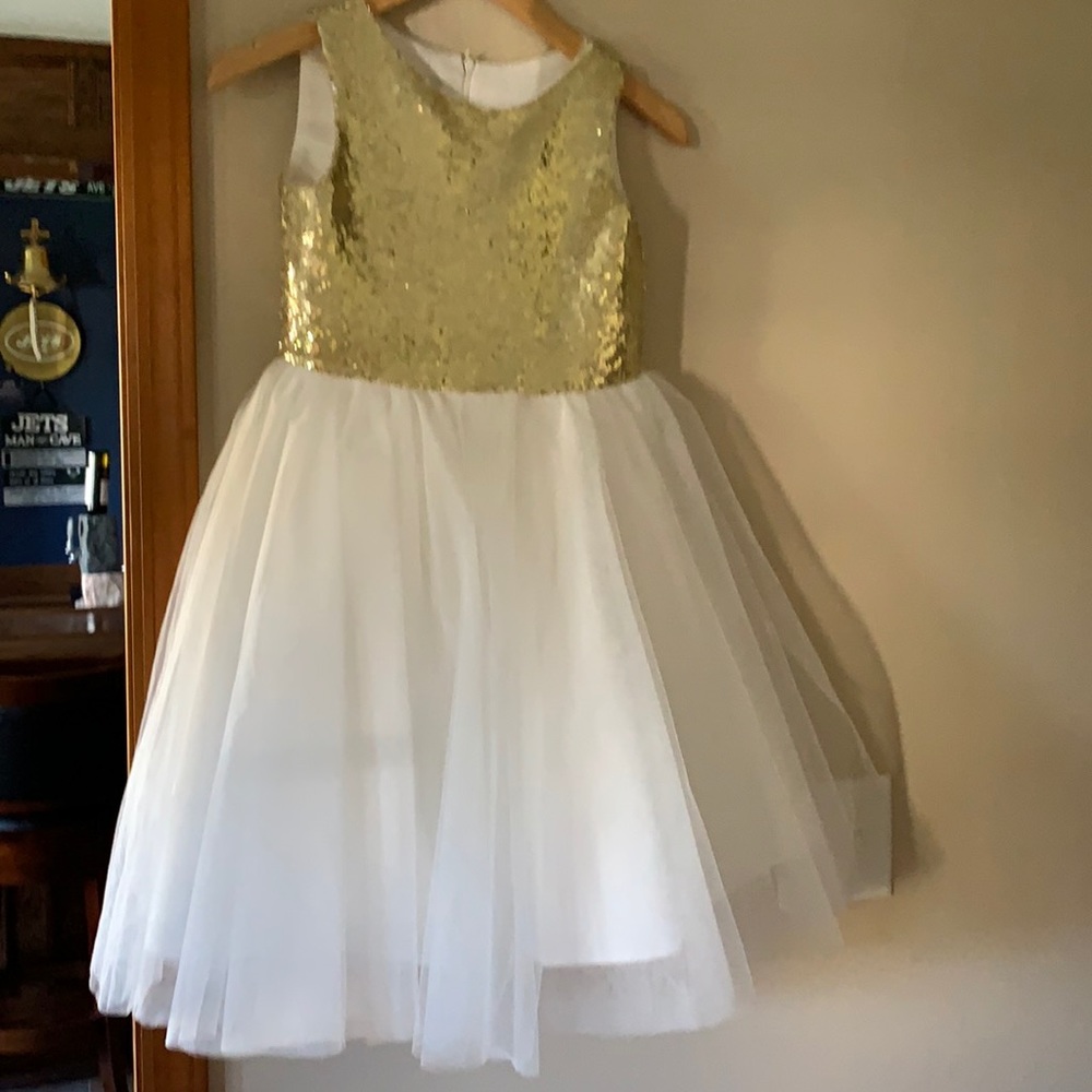 Party dress/ Flower girl dress